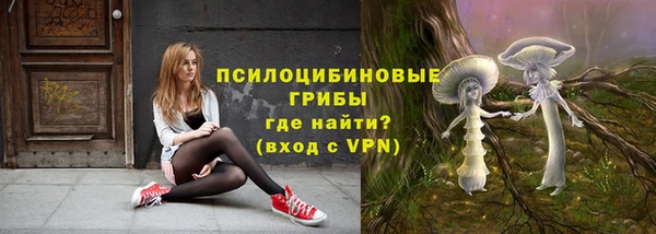 прущие крисы Дмитров