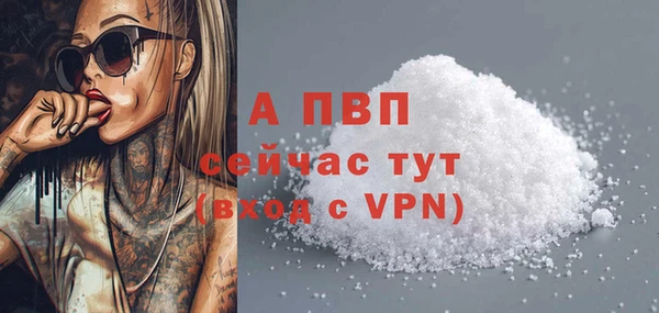 спиды Дмитровск