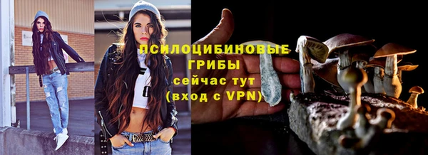 спиды Дмитровск