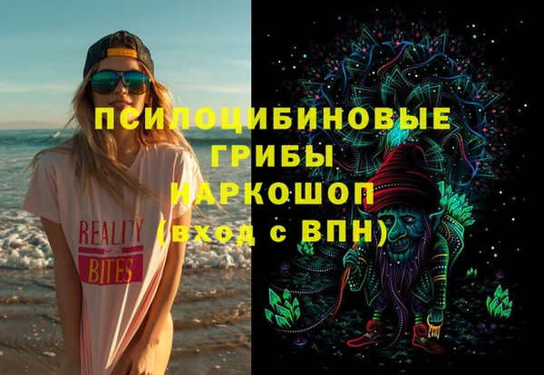 спиды Дмитровск