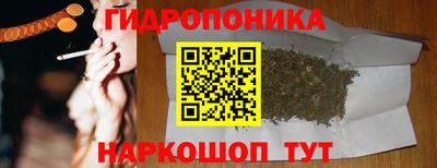 меф Кингисепп