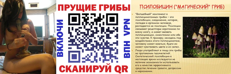 Галлюциногенные грибы Cubensis  Сланцы 