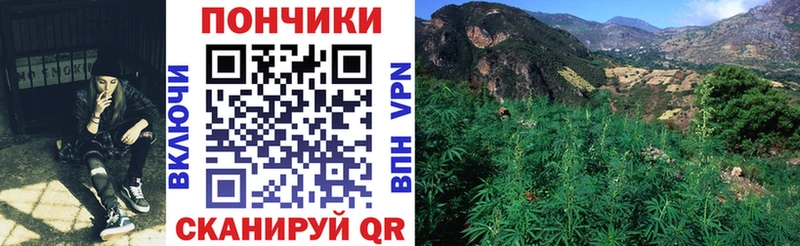 Бошки Шишки гибрид KRAKEN ссылки дарк нет телеграм Сланцы